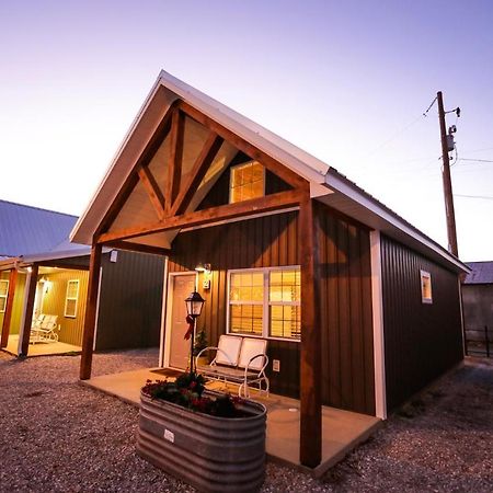 Knotty Squirrel Cabins ماونتن فيو المظهر الخارجي الصورة