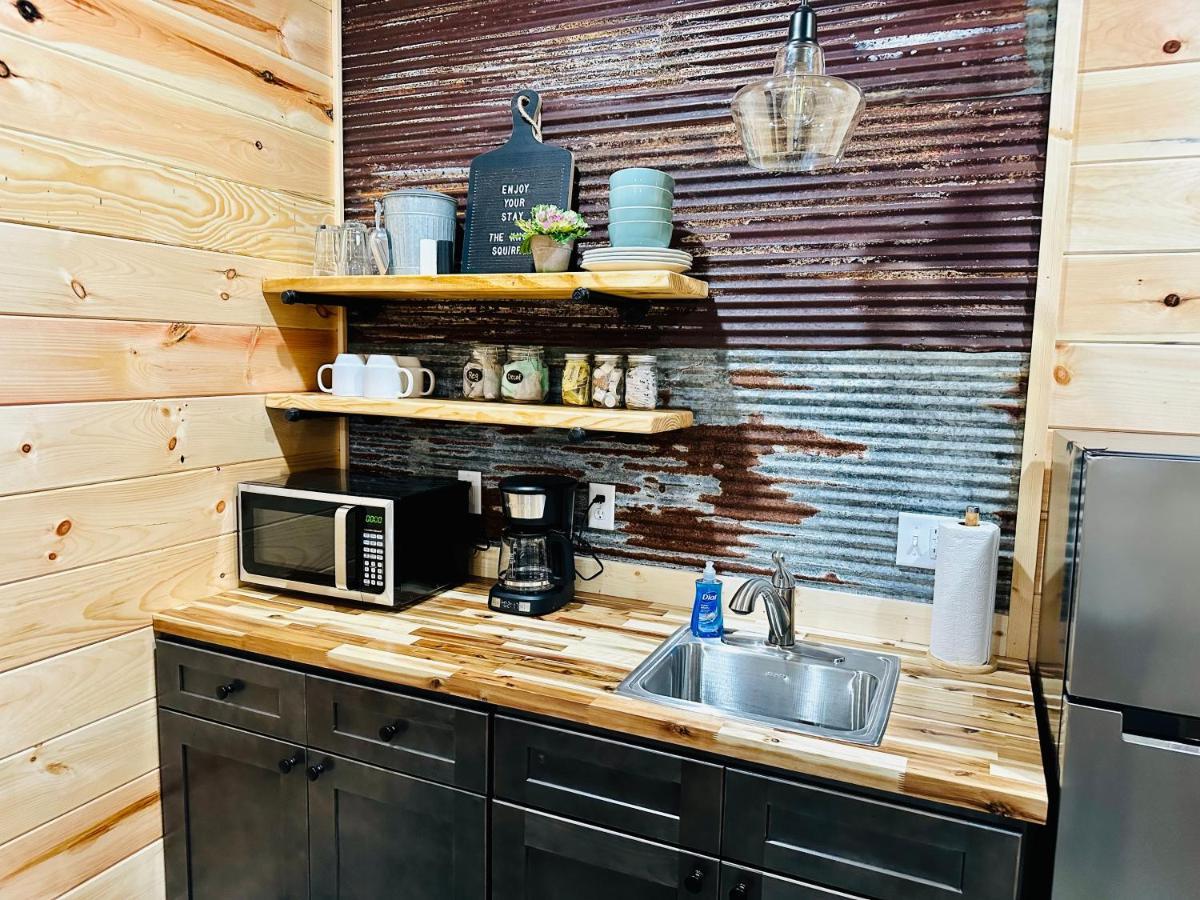 Knotty Squirrel Cabins ماونتن فيو المظهر الخارجي الصورة