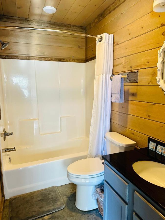 Knotty Squirrel Cabins ماونتن فيو المظهر الخارجي الصورة