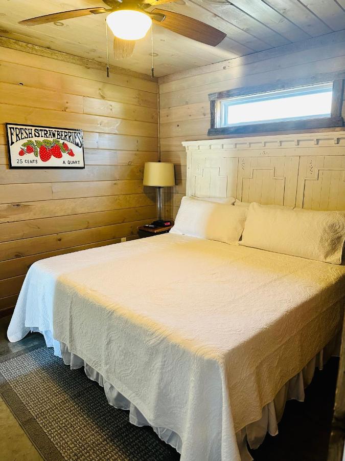 Knotty Squirrel Cabins ماونتن فيو المظهر الخارجي الصورة