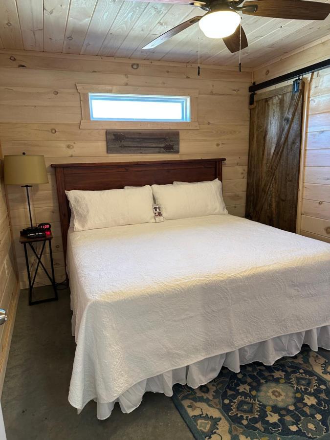 Knotty Squirrel Cabins ماونتن فيو المظهر الخارجي الصورة