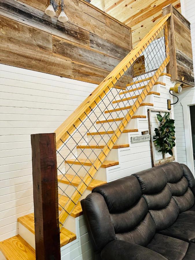 Knotty Squirrel Cabins ماونتن فيو المظهر الخارجي الصورة