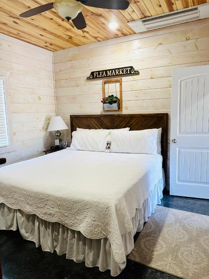 Knotty Squirrel Cabins ماونتن فيو المظهر الخارجي الصورة
