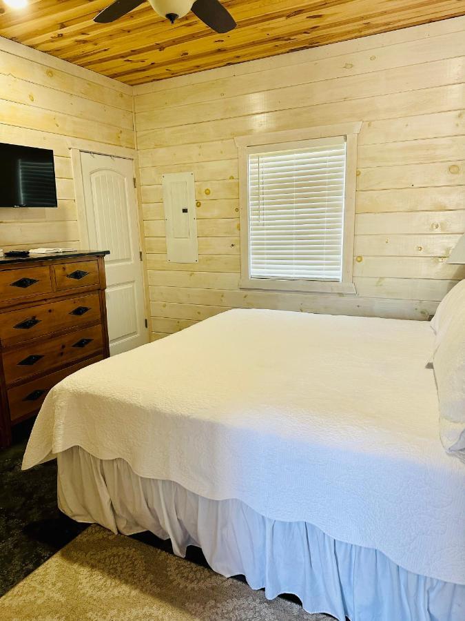 Knotty Squirrel Cabins ماونتن فيو المظهر الخارجي الصورة