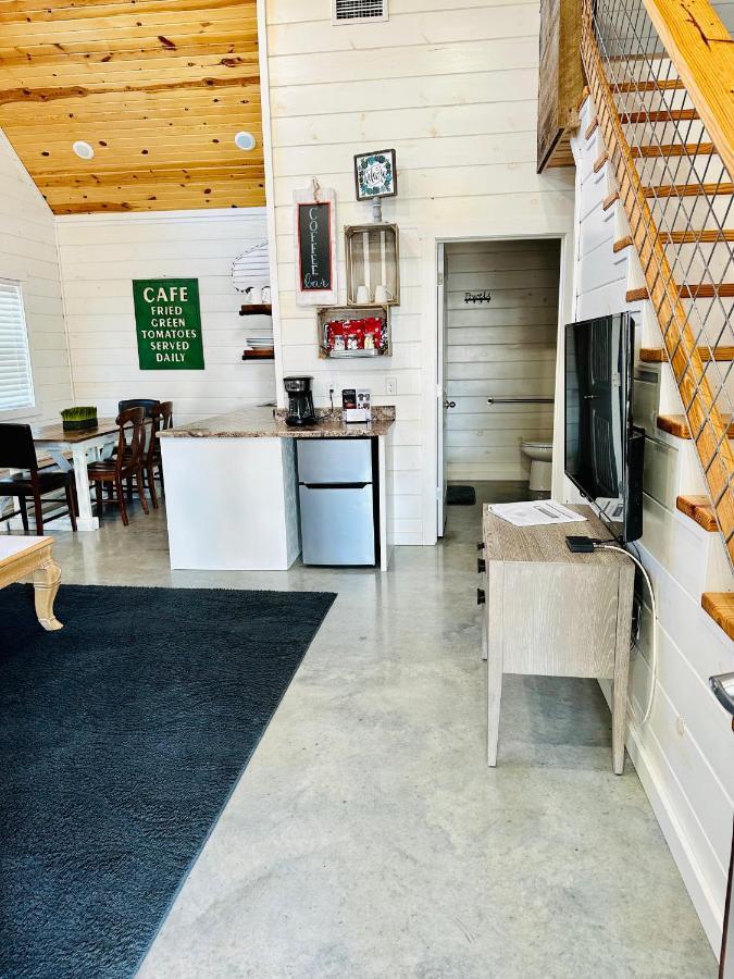 Knotty Squirrel Cabins ماونتن فيو المظهر الخارجي الصورة
