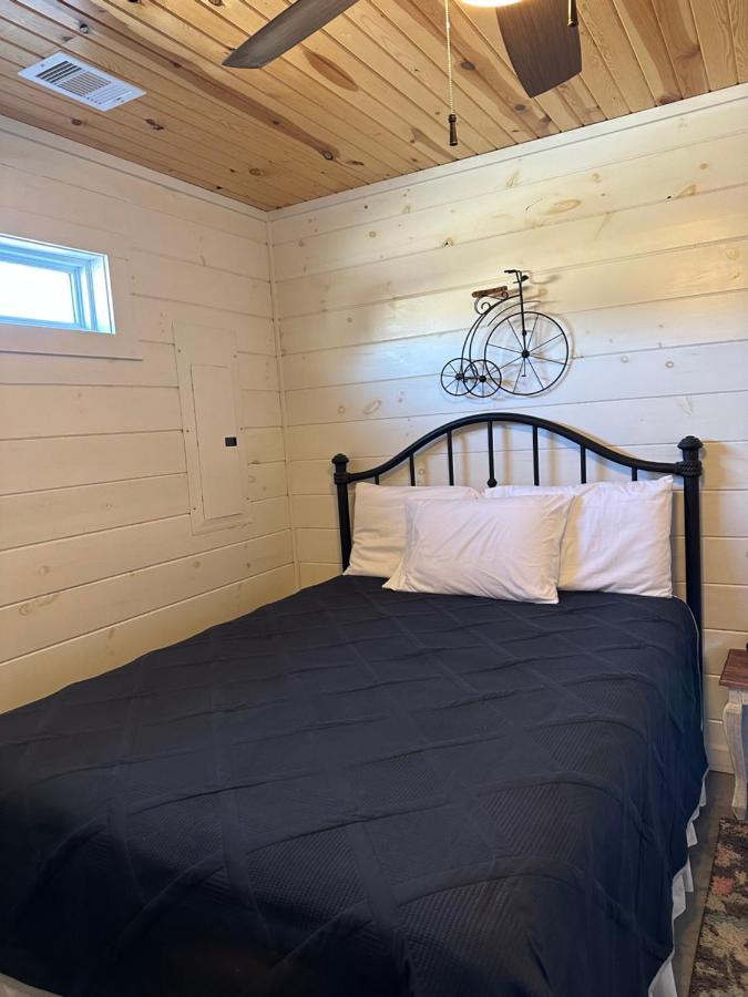 Knotty Squirrel Cabins ماونتن فيو المظهر الخارجي الصورة
