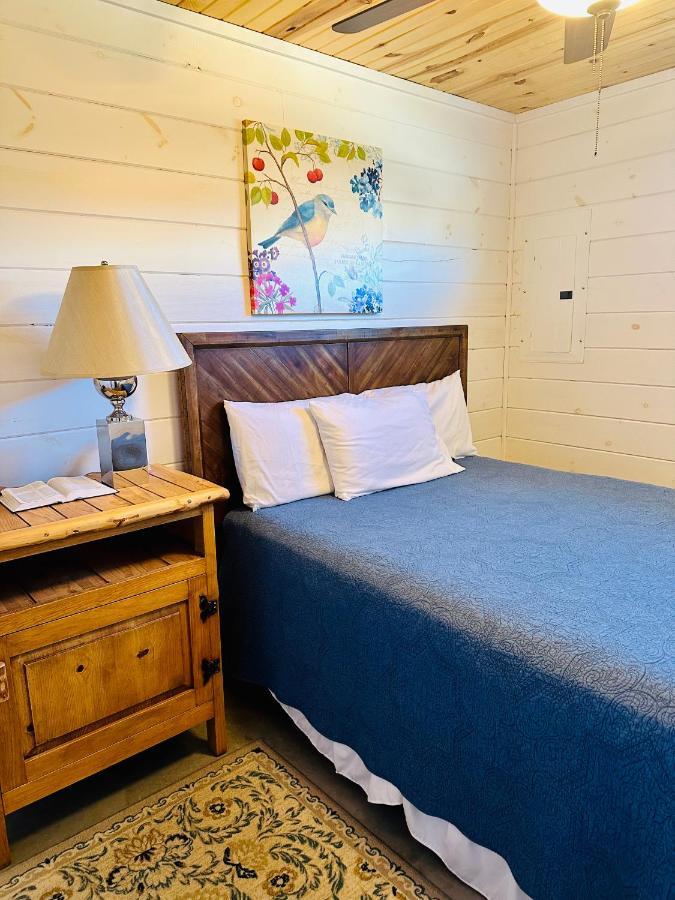 Knotty Squirrel Cabins ماونتن فيو المظهر الخارجي الصورة