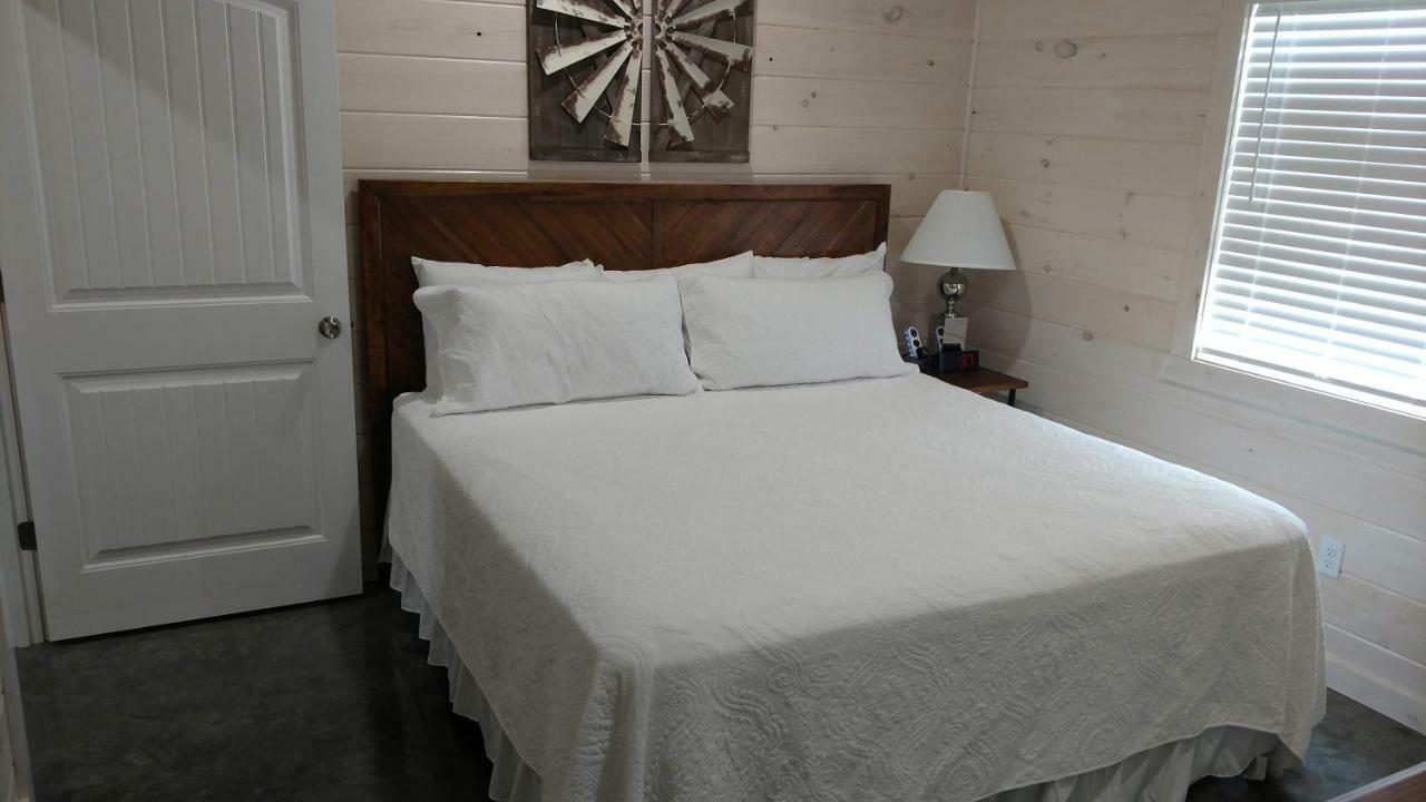 Knotty Squirrel Cabins ماونتن فيو المظهر الخارجي الصورة