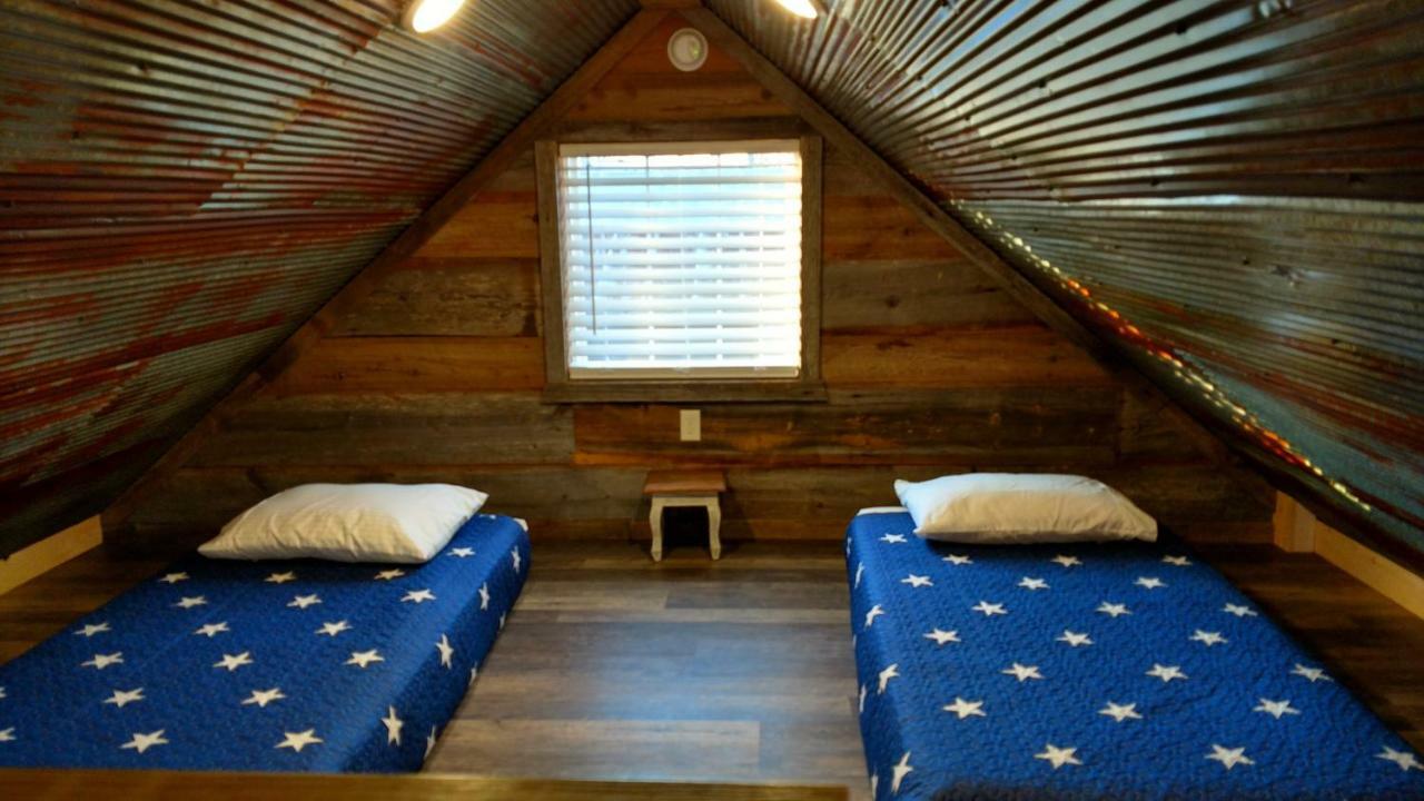 Knotty Squirrel Cabins ماونتن فيو المظهر الخارجي الصورة