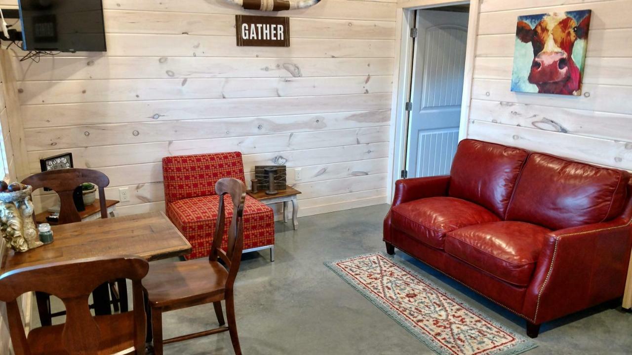 Knotty Squirrel Cabins ماونتن فيو المظهر الخارجي الصورة